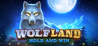 Wolf Land Hold & Win Slots